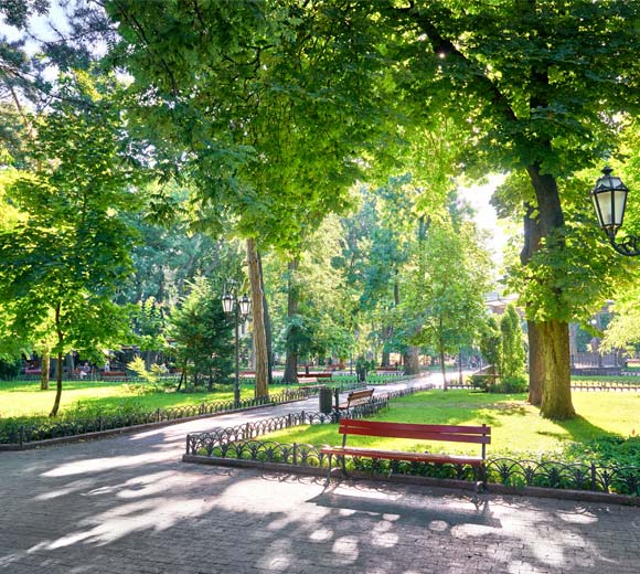 Central Park in Greenwich!