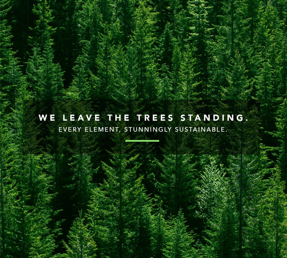 We Leave the Trees Standing.