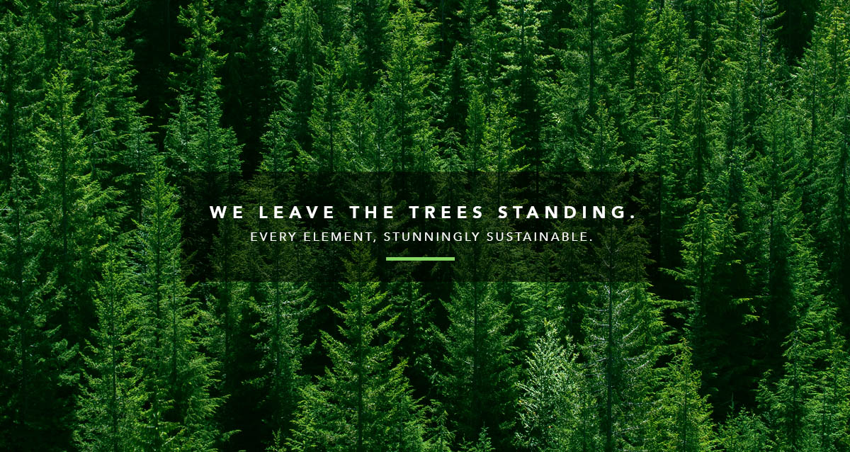 We Leave the Trees Standing.