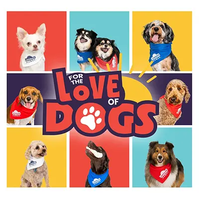 For the Love of the Dogs
